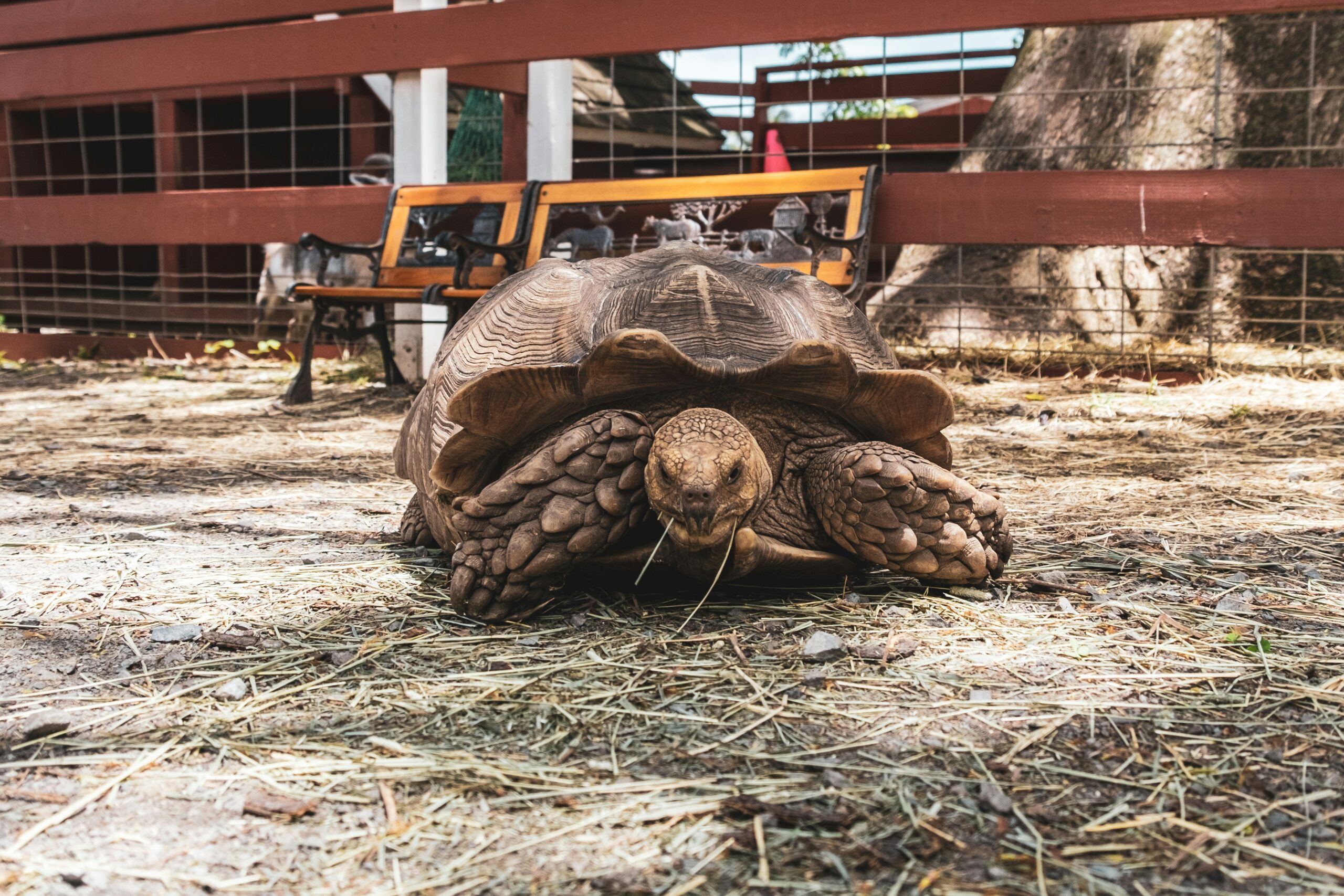 alan rodriguez guai1ksqtym unsplash